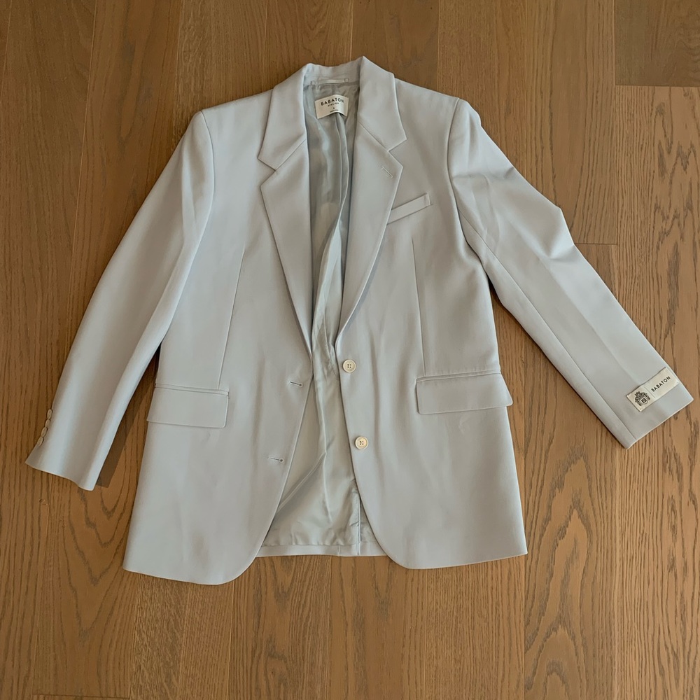 Aritzia Light Blue Blazer